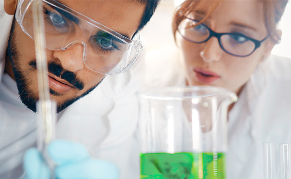 top educational institutes